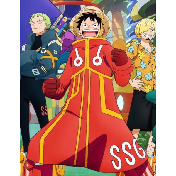 One Piece Monkey D. Luffy Coat