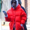 Emily Ratajkowski Red Puffer Hooded Jacket